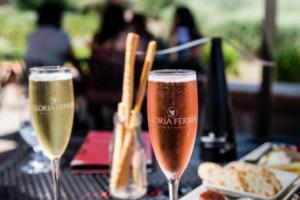 意甲联赛直接，官方权威报道解析意甲联赛直接