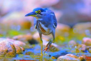 2019意甲联赛，激情四射，冠军归属悬念未解2019年意甲联赛视频