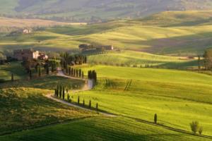 意甲联赛与中国足协主席，一场关于体育精神的对话足协主席拒绝意甲联赛